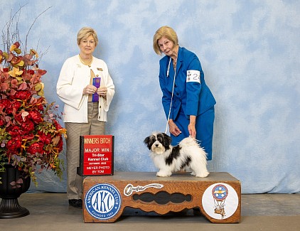Taylor won a 5 point major at her first show